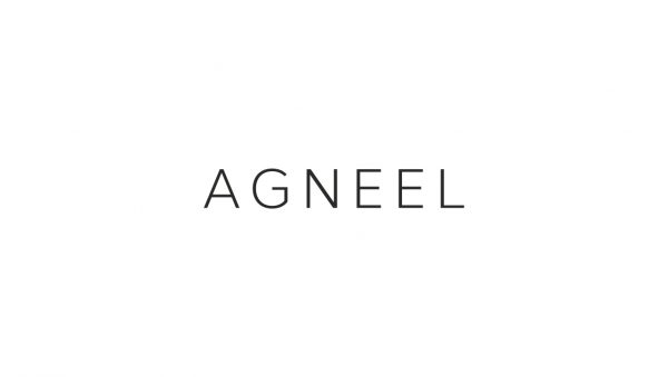 agneel 600x339 - Agneel Logo Tasarım Çalışması