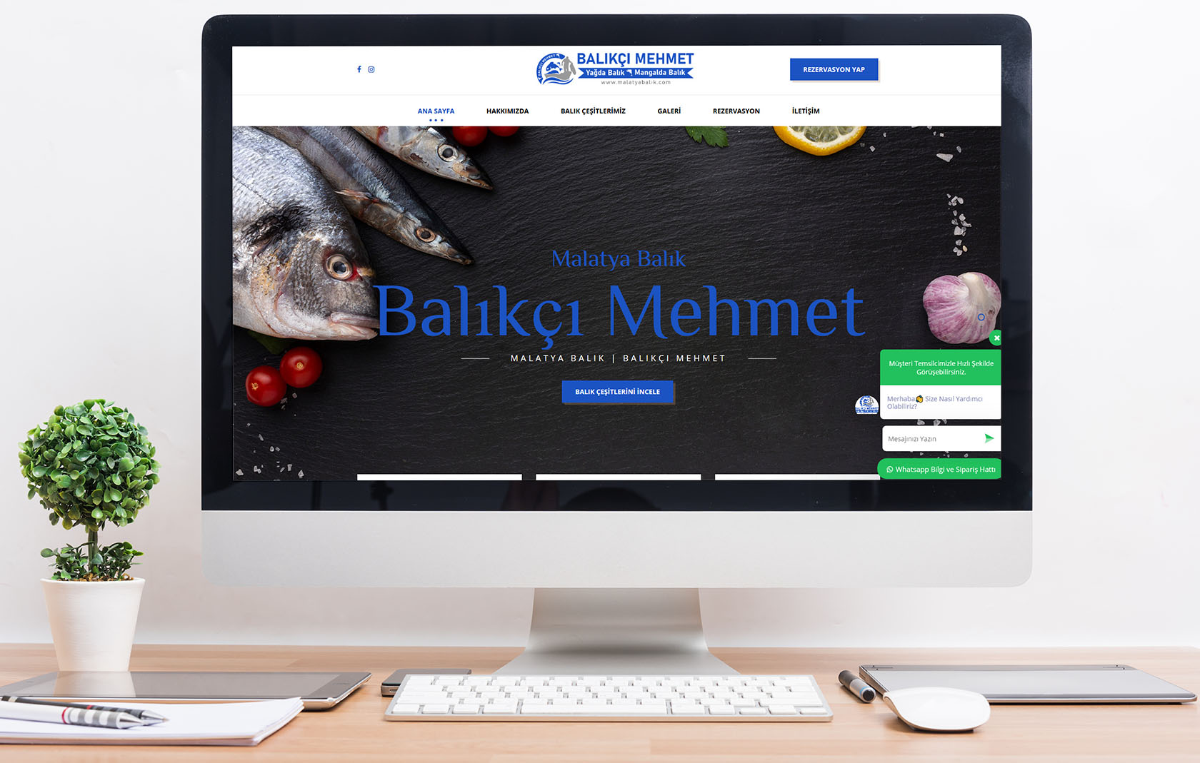 balikcimehmet 1 - Balıkçı Mehmet Web Tasarım Çalışması