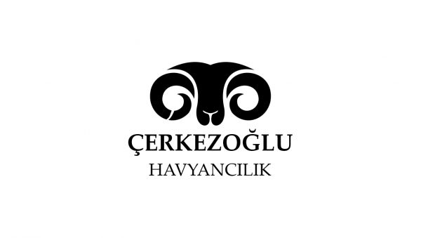 cerkezoglu 600x339 - Çerkezoğlu Hayvancılık Logo Tasarım Çalışması
