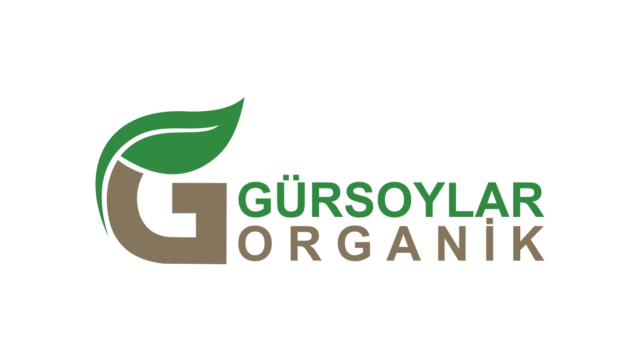 gursoylar - Gürsoylar Organik Logo Tasarım Çalışması